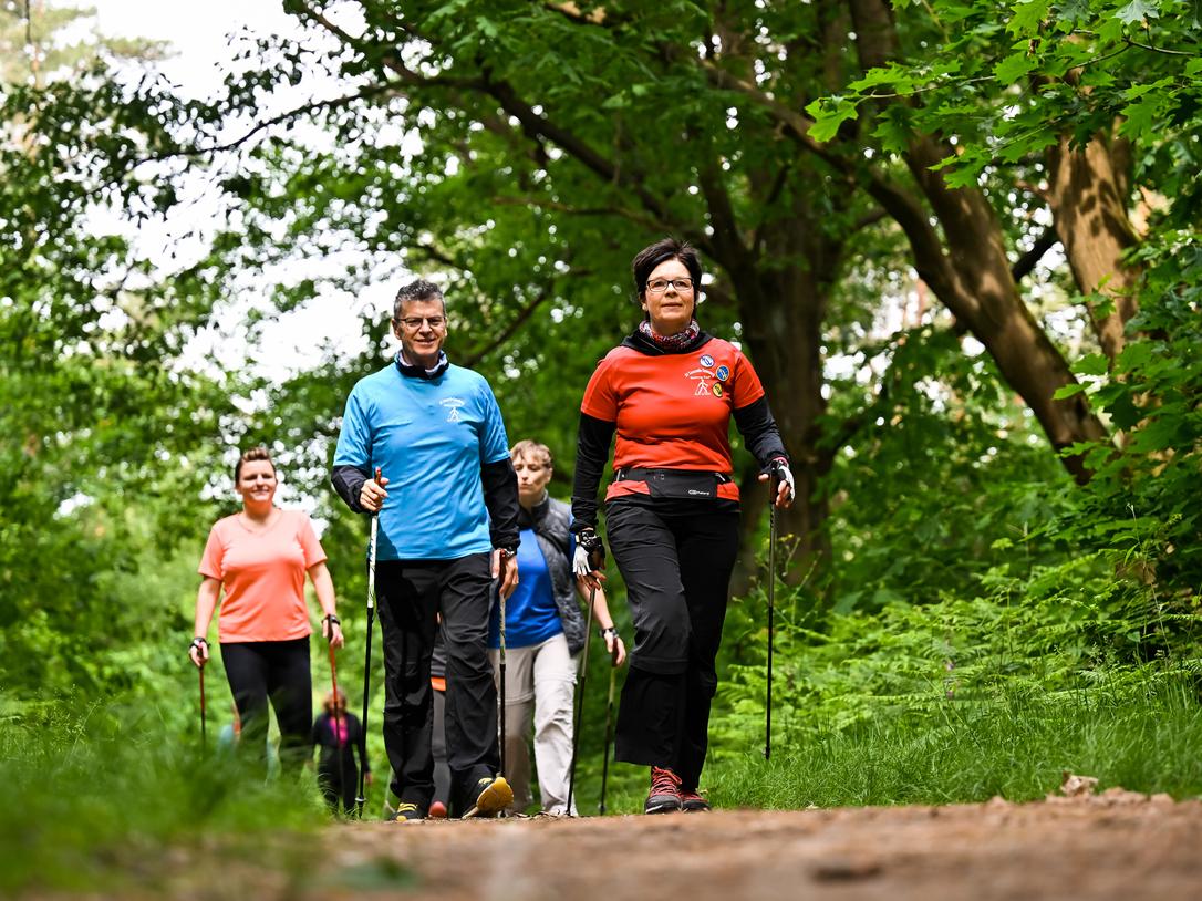 Gruppe von vier Personen wandert mit Nordic-Walking-Stöcken auf einem Waldweg umgeben von Bäumen und grünem Laub.